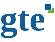 GTE Consultores